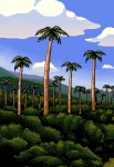 Tall Palmtrees