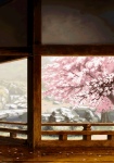 Sakura Balcony