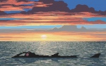 Nautilus Sunset