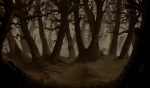 Spooky forest