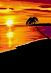 Sunset Palmtree