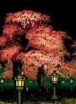 Park Lanterns