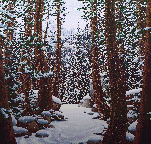 Snowy Forest