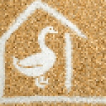 Goose inside a house