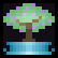 plum_tree
