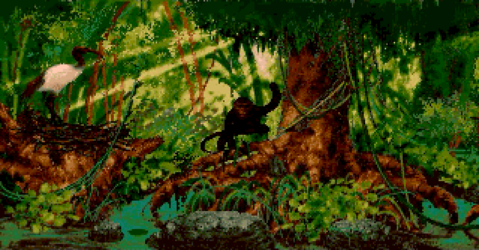 Jungle