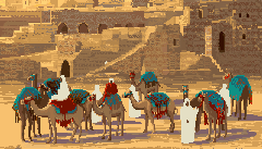 Camels