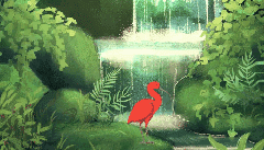 Red Flamingo