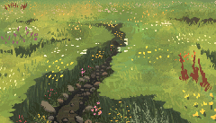 Field