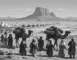 Camel Caravan