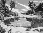 Desert Oasis