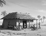 Desert Hut