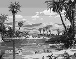 Desert Oasis