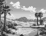 Desert Oasis