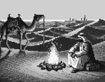 Desert Camp