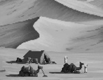 Desert Camp