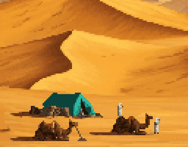 Desert Camp